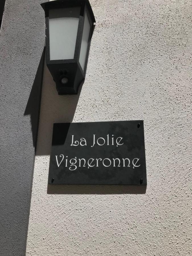 Вилла La Jolie Vigneronne Марсейан Экстерьер фото